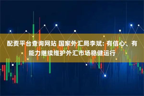 配资平台查询网站 国家外汇局李斌: 有信心、有能力继续维护外汇市场稳健运行